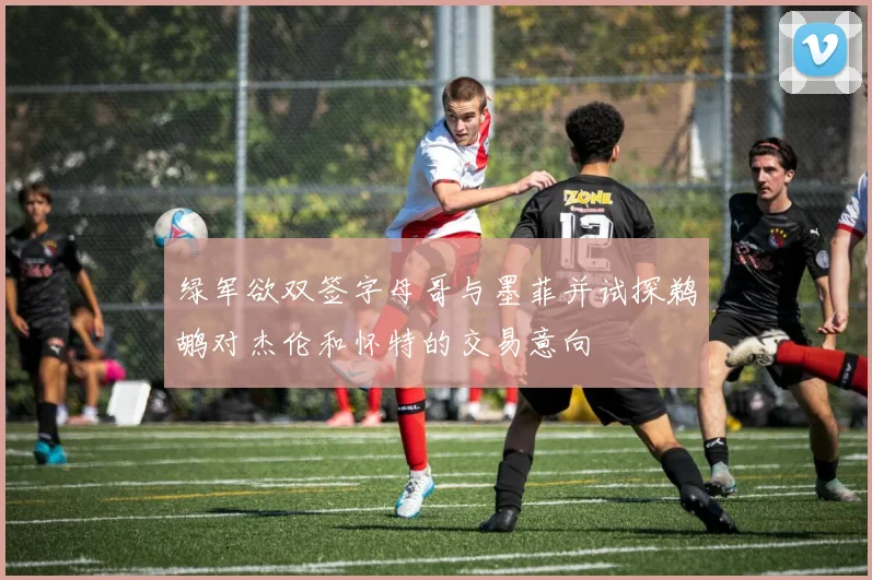 绿军欲双签字母哥与墨菲并试探鹈鹕对杰伦和怀特的交易意向